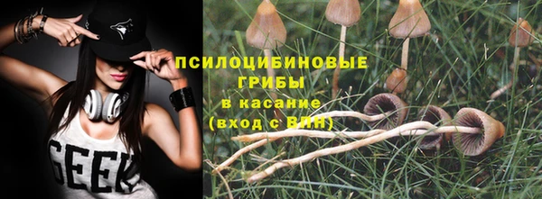 амф Струнино