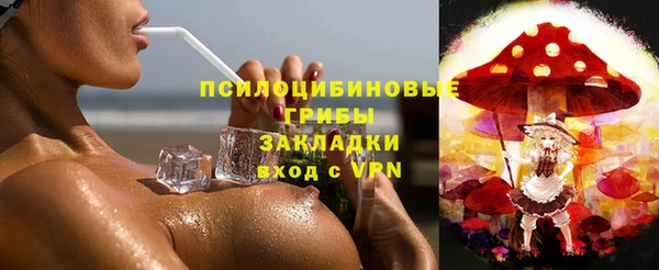 прущие грибы Армянск