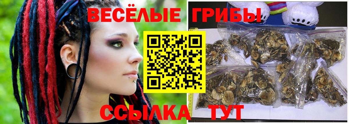 Галлюциногенные грибы Cubensis Апатиты